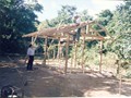 Julio, our Mission of Love consignee overseeing a home being built with the lumber that was Denton airlifted to Honduras from our Mission of Love warehouse. 